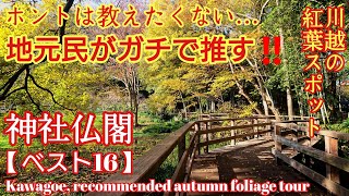 埼玉 徹底解説‼️絶景の川越『紅葉のオススメ神社仏閣』パワースポット巡り【音声ガイド】