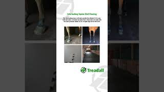 Treadall Mats Flooring