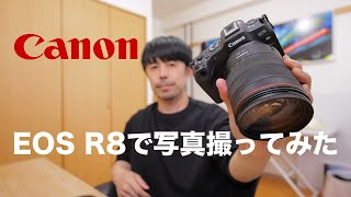 Canon EOS R8で撮影したらやはり凄いカメラだったので解説します【RF24-105mm F4 L IS USM使用】