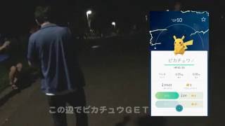 ポケモンGO新宿中央公園ピカチュウなど大量GET