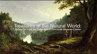 Treasures of the Natural World: Nature Art from the Collection of Cincinnati Museum Center