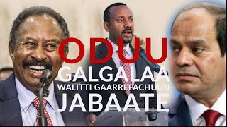 Oduu Guyyaa Hardhaa   Walitti Gaarreffachuun Ethiopiaf Egipt Hammaate