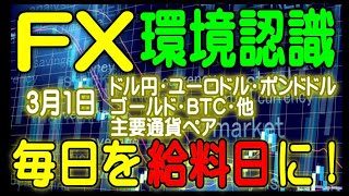 FXトレード戦略★2024年3月1日(金) トレードで毎日を給料日にしよう！USD/JPY・EUR/USD・GBP/USD・XAU/USD・BTC/USD