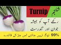 Health benefits of turnip | shalgam ke fayde | urdu, hindi | By Dr Shahid Bashir