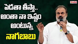 అంతా నా ఇష్టం అంటున్న మెగా బ్రదర్ | Mega Brother who says everything is my wish | Voice with Vaali