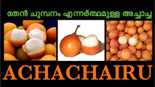 ACHACHAIRU || തേൻ ചുമ്പനം എന്നർത്ഥമുള്ള അച്ചാച്ച || അച്ചാചെറു