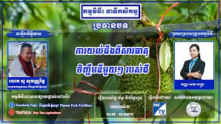 ជីធម្មជាតិ ភ្នំពេជ្រ | ការយល់ដឹងពីសារធាតុចញ្ចឹមនីមួយៗ របស់ជី