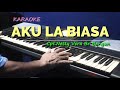 AKU LABIASA | Karaoke lagu karo