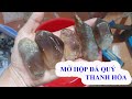 MUDI - MỞ HỘP TINH THỂ ĐÁ QUÝ DẠNG THÔ GỬI TỪ THANH HÓA