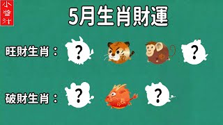 【生肖財運】12生肖5月，誰的財運最好，誰的財運最差？