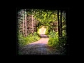 The Flashbulb - Pastorial Whiskers - Love As A Dark Hallway - 2011 [2/13]