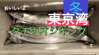 冬の東京湾タチウオジギング