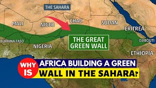 Africa Building A Great Green Wall In The Sahara Desert