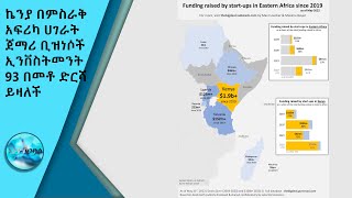 ኬንያ በምስራቅ አፍሪካ ሀገራት ጀማሪ ቢዝነሶች ኢንቨስትመንት 93 በመቶ ድርሻ ይዛለች