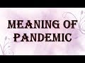 Meaning of pandemic