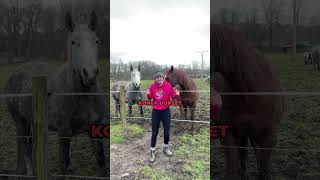 Půjčíš mi koně?🐎