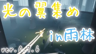 光の翼集め in雨林【sky 星を紡ぐ子どもたち】