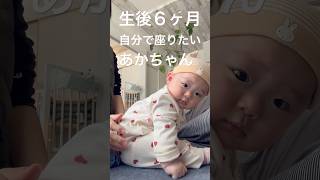 【生後６ヶ月】初めてのお座り👶🏻#shorts #shortsvideo #赤ちゃん #赤ちゃんのいる生活