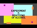 DK024 Experiment 3: Reactions of Alcohol | SES | Matriculation