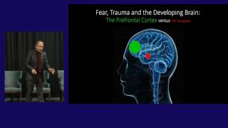 Ben Sessa: MDMA Therapy - A Child Psychiatrist’s Perspective
