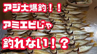 茨城県大津港・アジが爆釣した仕掛けを公開☆これで釣れなきゃ多分無理！！【2023年8月17日】