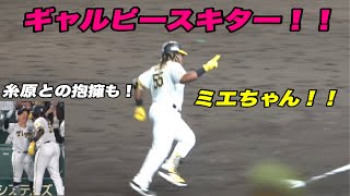 【今日は主役？虎ファン大好きミエチャンが代打ホームランを放ち球場がとんでもない雰囲気になる！！】阪神対巨人