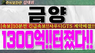 [금양 주가 전망]10분전 긴급속보발생!! 사우디 GTS 4695배터리 1300억 수출계약!! 어쩐지 외신세력 매수하더라니..반드시 시청하세요.내일 중요합니다!! #금양