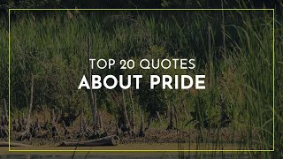 TOP 20 Quotes about Pride ~ Everyday Quotes ~ Quotes of the Day ~ Family Quotes