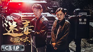 毒枭称王穷凶极恶 追捕行动血性出击！【#迷毒之东风破】GunBattleMovie clips