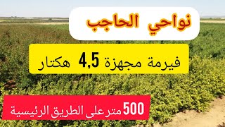 💥نواحي الحاجب فيرمة مجهزة محفظة 4,5 هكتار ferme agricole 0670964884☎️