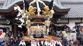 北条節句祭　宵宮　東高室　拝殿前　屋台差し上げ　その３