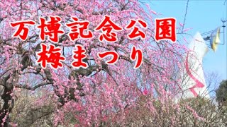 万博記念公園 梅まつり2022