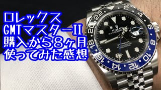 【腕時計Vlog】ロレックス GMTマスター2(バットガール) ８ヶ月間使用レビュー