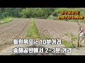 대구달성옥포 김흥리 토지소개 주말농장 추천