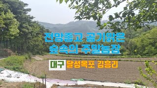 대구달성옥포 김흥리 토지소개   주말농장 추천