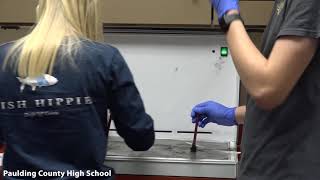 Law, Public Safety, Corrections, Paulding County High School