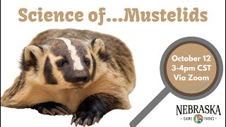 Science of...Mustelids