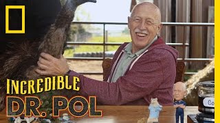 Be Emused - Season 3, Episode 1 | Coffee Break With Dr. Pol