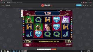 Diamond Cats - By Amtic - BET 0.40$ Bouns - Slotv Casino