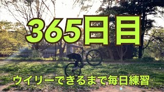 ウイリーできるまで毎日練習365日目【MTBでウイリー編】