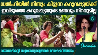 വയനാട്ടിലെ സുഗന്ധദ്രവ്യങ്ങൾ ലോകത്തിലെ ഏറ്റവും മികച്ചതാണെന്ന് ലോകം പറയണം