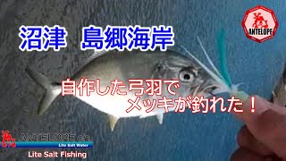 【ライトソルト】 自作した弓羽でメッキが釣れた！