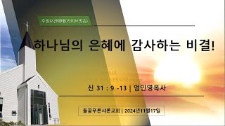 들꽃푸른샤론교회 ㅣ주일오전예배(241117)ㅣ엄인영목사ㅣ신31:9-13 | 하나님의 은혜에 감사하는 비결!