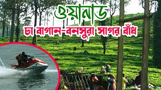 Explore Wayanad's Lush Tea Gardens and Adventure Awaits in Banasura Sagar Dam! [EP-13]