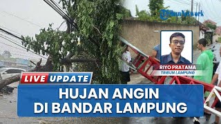 Imbas Hujan Angin Dahsyat Bandar Lampung, Pohon Tua Tumbang hingga Timpa Pengendara \u0026 Kabel Listrik