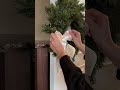 eleganten türkranz selber binden🎄✨ diy hack einrichten westwing weihnachtsdeko