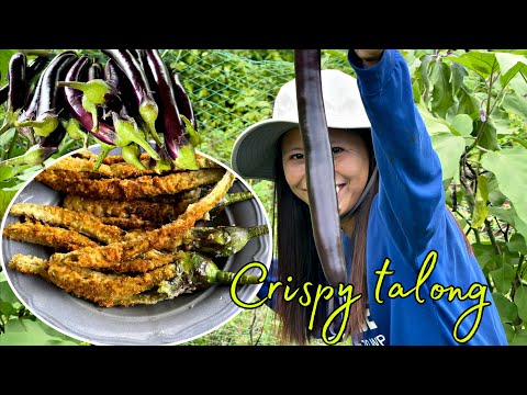 Naglinis kami sa aming fishpond crispy talong at monggo sa pananghalian Buhay Probinsya