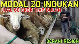 BERANI RESIGN TERNAK KAMBING 20 INDUKAN TIAP BULAN JUAL 60 EKOR