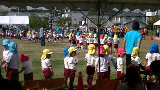 保育園運動会つなひき - Japan preschool: Tug of war game