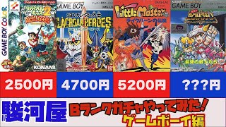 【駿河屋】久しぶりに駿河屋通販で購入したBランクのゲームボーイソフト達の状態を確認していくよ！【GB】